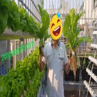 Vật tư trồng rau thủy canh